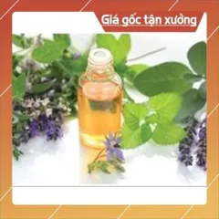 Tinh chất chiết xuất từ trái cây, hương liệu - Freeship - Tinh chất nhập khẩu Ấn Độ (Dùng được cho thực phẩm, đồ uống)