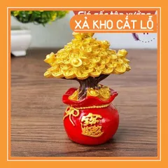 Cây kim tiền vàng mô hinh cây vàng may mắn cây tài lộc trang trí bàn làm việc chậu cây phong thủy phát tài