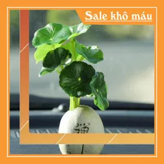 Bộ tượng Ngũ Phúc cao cấp kèm chậu cây và chân đế đứng 6 ô