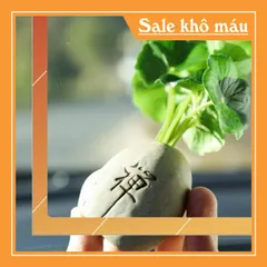 Bộ tượng Ngũ Phúc cao cấp kèm chậu cây và chân đế đứng 6 ô