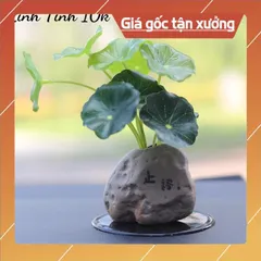 Phụ kiện thỏi vàng, hũ vàng trang trí kèm tượng 💕FREESHIP 50k💕 Linh Tinh 10k