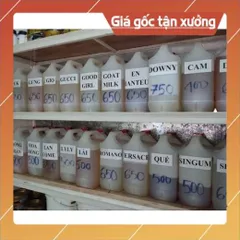 Tinh dầu chiết xuất hoa SỨ - Freeship - Tinh dầu nhập khẩu Ấn Độ
