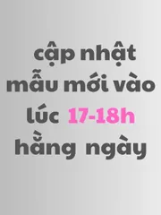 32_set bộ thun tay dài nhiều màu pass