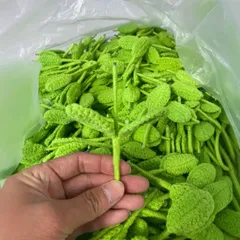 Combo 10 cành len nhỏ quấn sẵn 11cm dùng cho chậu hoa