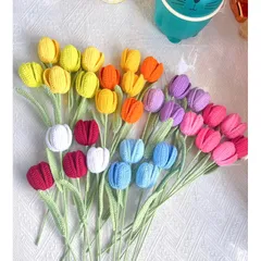 Hoa tulip len ghép cánh dùng làm quà tặng (không nhụy)