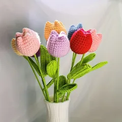 Hoa Tulip len dùng trang trí, làm quà tặng