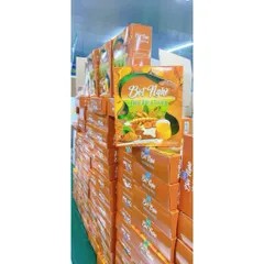 combo 3 hộp bột nghệ nấm đông trùng 801618