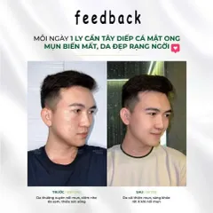 combo 3 hộp bột cần tây rau má diếp cá 801615