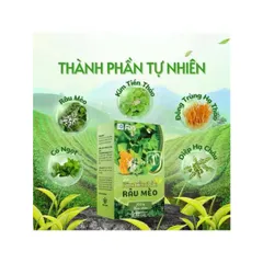 combo 4 hộp trà kim tiền thảo râu mèo 801639