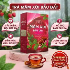 combo 2 hộp Trà Mâm Xôi Bầu Đất Điều Hòa Kinh Nguyệt, Giảm Đau Bụng Kinh, Ổn Định Nội Tiết Tố Nữ, Đẹp Da, Bổ Huyết 801642
