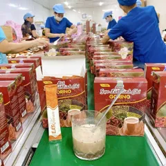com bo 3 hộp trà gạo lứt linh chi 