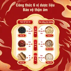 Lục Vị Địa Hoàng Hoàn, tư bổ thận âm, cổ phương Trung y