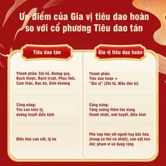 Gia Vị Tiêu Dao Hoàn, hộp 10 gói, hỗ trợ người can tỳ bất hòa, ăn uống kém, hay cáu gắt, kinh nguyệt không đều