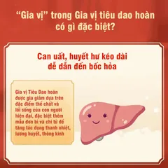Gia Vị Tiêu Dao Hoàn, hộp 10 gói, hỗ trợ người can tỳ bất hòa, ăn uống kém, hay cáu gắt, kinh nguyệt không đều