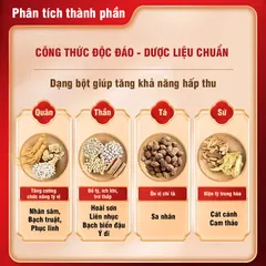 Sâm Linh Bạch Truật Tán - Bổ Tỳ Vị Ích Phế Khí, bột bổ tỳ vị cực tốt của Đồng Nhân Đường