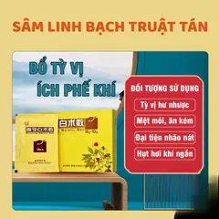 Sâm Linh Bạch Truật Tán - Bổ Tỳ Vị Ích Phế Khí, bột bổ tỳ vị cực tốt của Đồng Nhân Đường