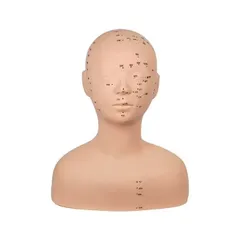 Đầu canh học massage cổ vai gáy (Có điểm bấm huyệt). Canh Lưng Silicon MC