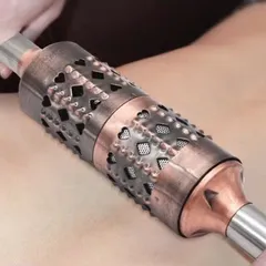 CON LĂN NGẢI ĐỒNG DÙNG TRONG DƯỠNG SINH - MCS