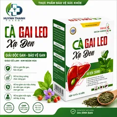 Viên Uống Mát Gan Cà Gai Leo Xạ Đen- Hộp 100 Viên