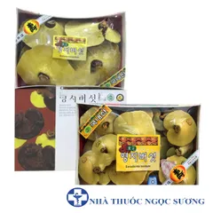 Nấm linh chi núi có bào tử 365 Hàn Quốc hộp 1kg