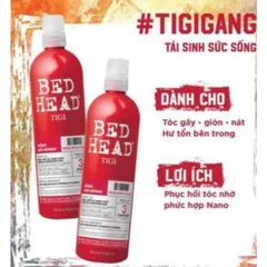 Bộ Dầu Gội Xả Tigi Bed Head Phục Hồi Cấp Độ 3 (750ml + 750ml)