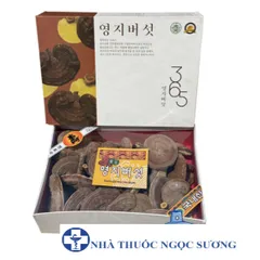 Nấm linh chi núi có bào tử 365 Hàn Quốc hộp 1kg