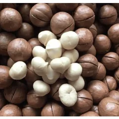 Hạt Macca Daklak sấy nứt vỏ túi Zip 500g