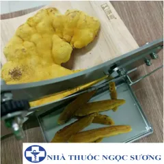 Nấm Thượng Hoàng Hàn Quốc Đóng Khay 500g