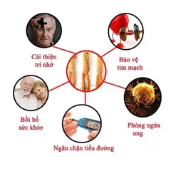 Viên đạm hồng sâm nhung hươu linh chi KOREAN RED GINSENG EXTRACT GOLD SOFT CAPSULES