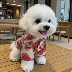 Áo Sơmi Hoa Hòe (Tặng kẹp nơ) cho thú cưng - Áo, váy cho chó mèo, thú cưng - Ziềng iu Petshop