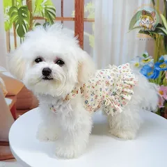 Váy hoa nhí cổ bèo (Tặng kẹp nơ) cho thú cưng - Áo, váy cho chó mèo, thú cưng - Ziềng iu Petshop