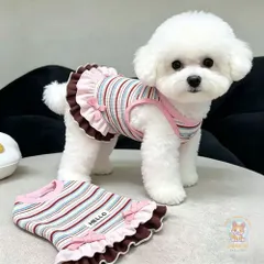 Váy Hello Summer (Tặng kẹp nơ xinh) - Áo, váy cho chó mèo, thú cưng - Ziềng iu Petshop