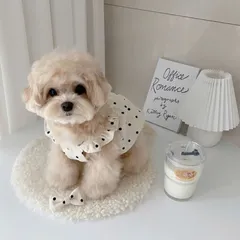 Váy chấm bi trắng kem (Tặng kẹp nơ) - Áo, váy cho chó mèo, thú cưng - Ziềng iu Petshop