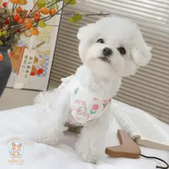 Váy Vườn Xuân (Tặng kẹp nơ) cho thú cưng - Áo, váy cho chó mèo, thú cưng - Ziềng iu Petshop