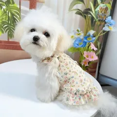 Váy hoa nhí cổ bèo (Tặng kẹp nơ) cho thú cưng - Áo, váy cho chó mèo, thú cưng - Ziềng iu Petshop