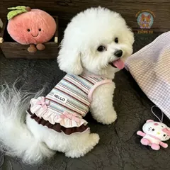 Váy Hello Summer (Tặng kẹp nơ xinh) - Áo, váy cho chó mèo, thú cưng - Ziềng iu Petshop