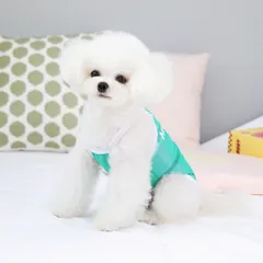 Áo thun Happy Frog Chống Rụng Lông Cho Chó Mèo - Áo, váy cho chó mèo, thú cưng - Ziềng iu Petshop
