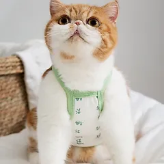 Áo Hai Dây Hoa Nhí (Tặng kẹp nơ nhỏ) - Áo cho cún, mèo - Phụ kiện chó mèo - Ziềng iu Petshop