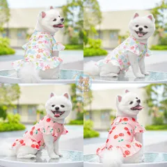 Váy Xuân Hạ (Có Size Lớn) cho thú cưng - Tặng kẹp nơ nhỏ - Áo, váy cho chó mèo, thú cưng - Ziềng iu Petshop