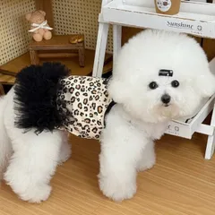 Váy Xòe Báo Bánh Bèo (Tặng kẹp nơ) cho thú cưng - Áo, váy cho chó mèo, thú cưng - Ziềng iu Petshop