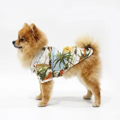 Sơ Mi Cây Dừa / Công Phượng (Tặng kẹp nơ) cho thú cưng - Áo, váy cho chó mèo, thú cưng - Ziềng iu Petshop
