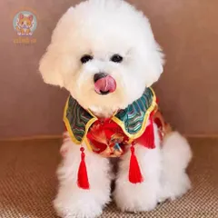 Áo Tết Như Ý - Cát Tường (Tặng kẹp nơ), Áo Tết cho thú cưng - Áo, váy cho chó mèo, thú cưng - Ziềng iu Petshop