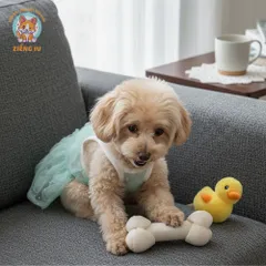 Váy Ren Kiêu Sa (Tặng kẹp nơ) cho thú cưng - Áo, váy cho chó mèo, thú cưng - Ziềng iu Petshop