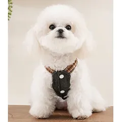 Yếm Jeans Hello cho Pet - Áo, váy cho chó mèo, thú cưng - Ziềng iu Petshop