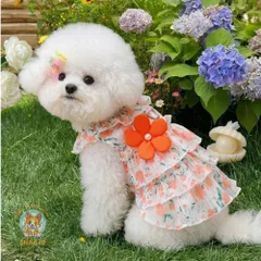 Váy hoa tầng cam đào (Tặng kẹp nơ) - Áo, váy cho chó mèo, thú cưng - Ziềng iu Petshop