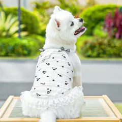 Váy Mây Trắng Ren (Tặng kẹp nơ) - Áo, váy cho chó mèo, thú cưng - Ziềng iu Petshop