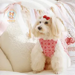 Váy Red Velvet đỏ nơ tầng (Tặng kẹp nơ) - Áo, váy cho chó mèo, thú cưng - Ziềng iu Petshop