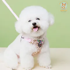 Dây dắt Yếm Hoa Nhí- Dây dắt cho chó mèo, dây dắt thú cưng - Ziềng iu Petshop