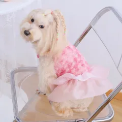 Váy Nàng Thơ Pink Rosette (Tặng kẹp nơ xinh) - Áo, váy cho chó mèo, thú cưng - Ziềng iu Petshop