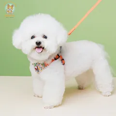 Dây dắt Yếm Hoa Nhí- Dây dắt cho chó mèo, dây dắt thú cưng - Ziềng iu Petshop